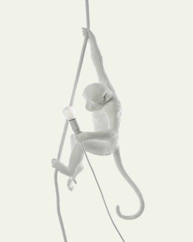 Monkey with Rope Outdoor Hanging Lamp
